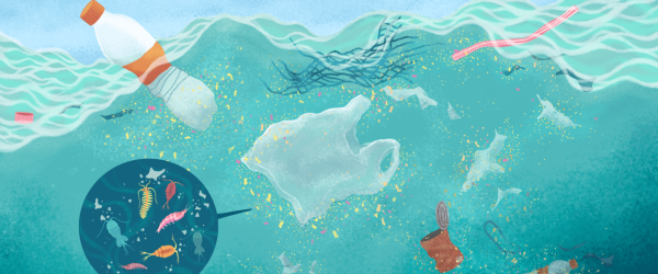 CHINA DIALOGUE - How plastic is fuelling a hidden climate crisis in Southeast Asia