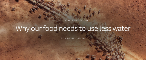BBC - Why our food needs to use less water