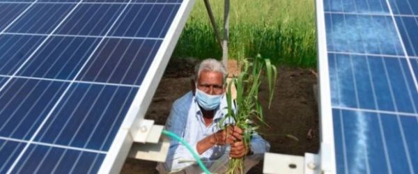ENERGY MONITOR - India’s plans for global solar domination