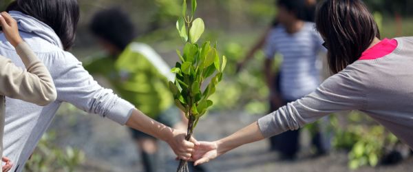 THE THIRD POLE - Can carbon markets help tackle climate change?